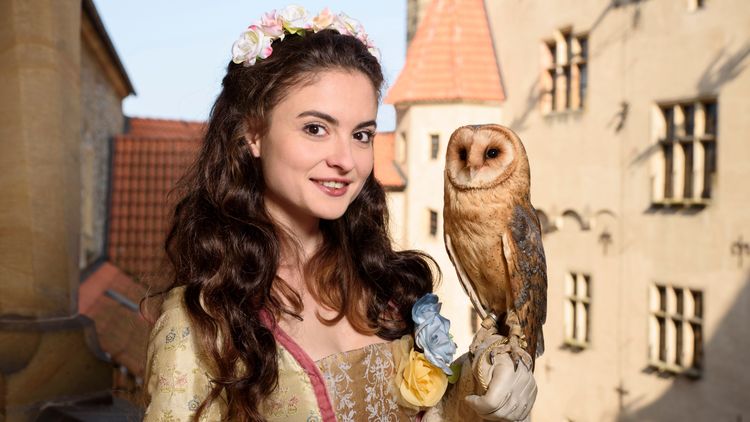 Najpiękniejsze baśnie: Księżniczka i pół królestwa